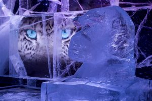 Icebar 2016 Design, Wild In The City. Photograph by Peter Kindersley